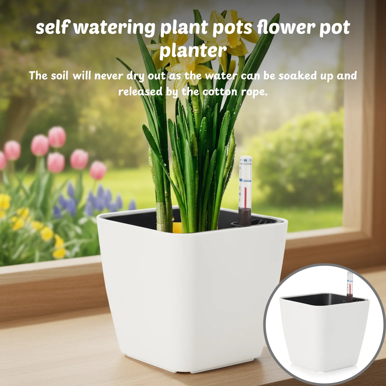 Self Watering Plant Pot
